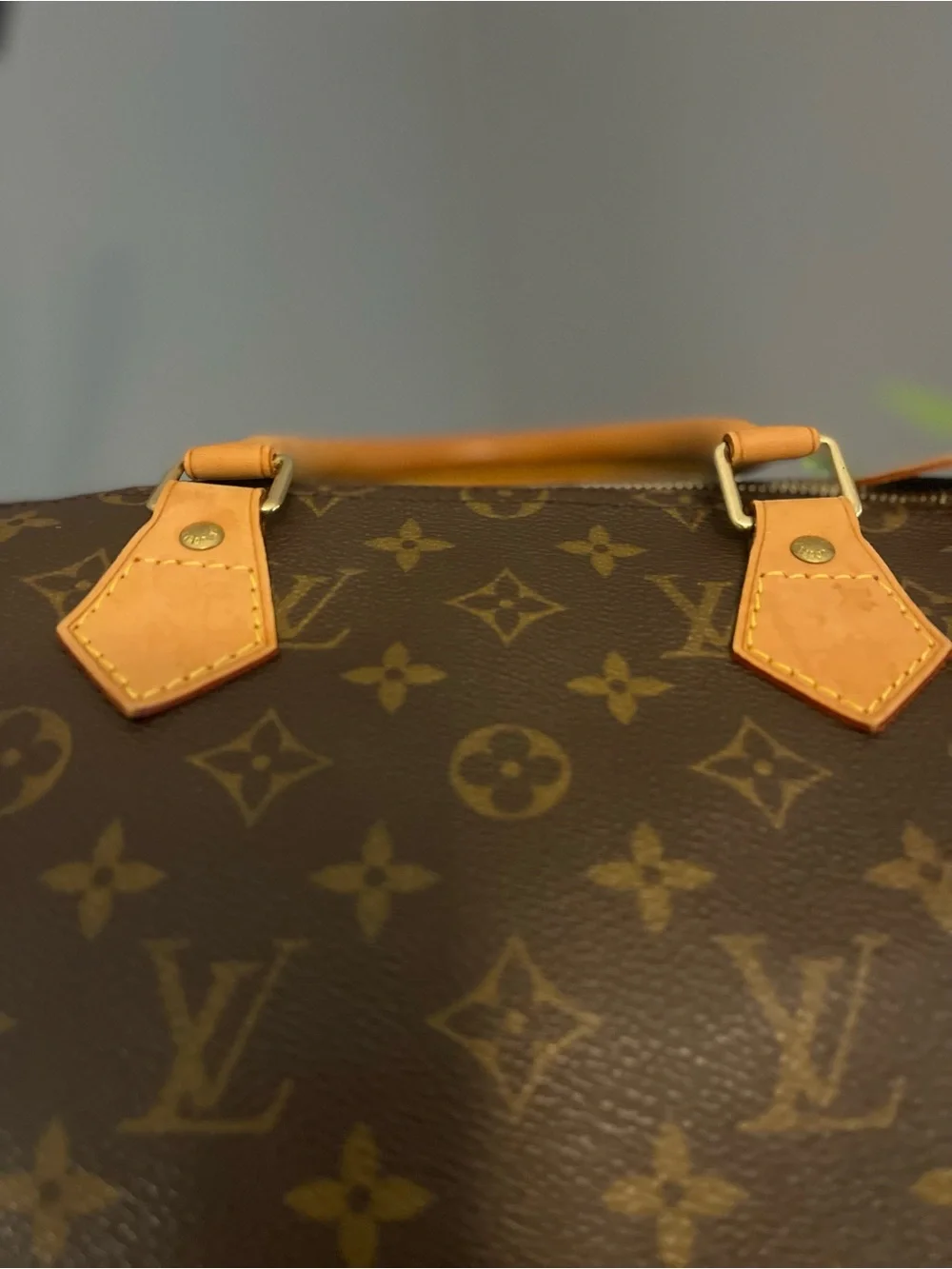 Louis Vuitton iconic louis